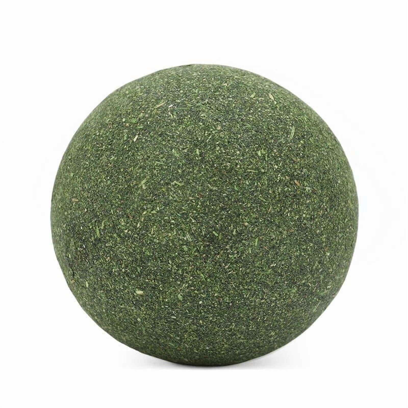 Jumbo Catnip Ball Toy with Mint Teeth Cleaning Chew