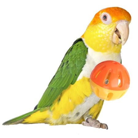 Super Bird Creations SB1055 Birdie Balls Bird Foot Toy, Medium Bird Size, 2" Diameter (4 Pack)