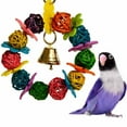 thumbnail image 1 of Super Bird Creations SB759 Daisy Ring Bird Toy - for Small Bird Sizes 6" x 4" - Parrotlets, Parakeets, Cockatiels, and Lovebirds - Colorful and Interactive Bird Toy - Enrichment & Boredom Relief Toy, 1 of 9