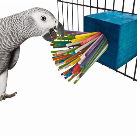 Super Bird Creations SB438 Paper Party Bird Toy with Colorful Lollipop Sticks, XL Bird Size, 7.5” x 3.5”