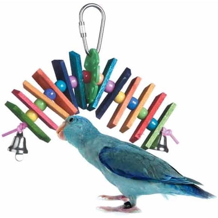 Super Bird Creations SB133 Small Balsa Rainbow Bird Toy, Small Bird Size, 5" x 5"