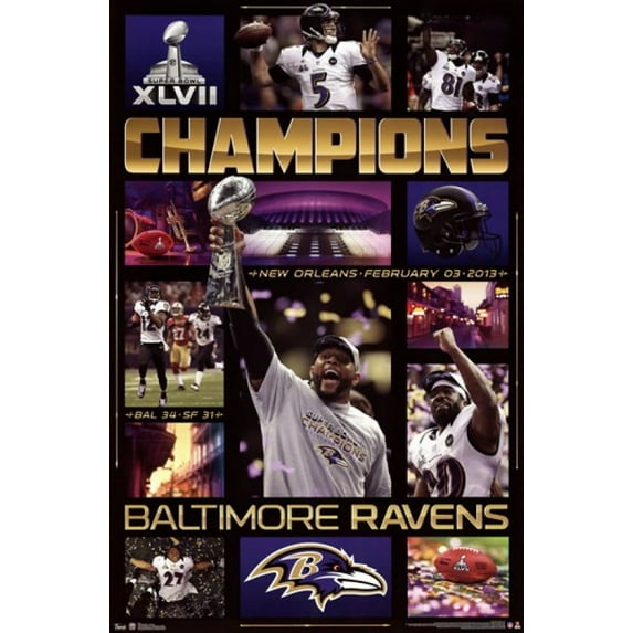 Super Bowl XLVII - Celebration Poster Print (24 x 36)