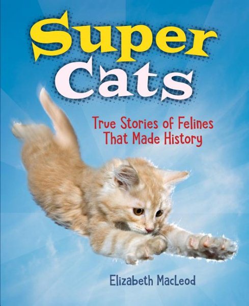 Super Cats - image 1 of 1