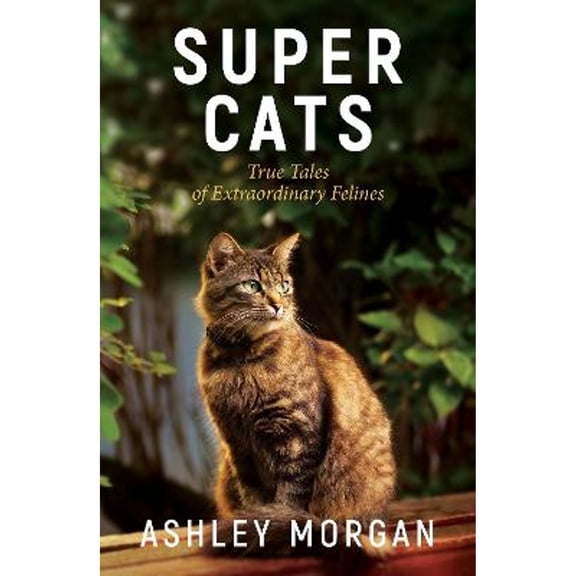 Pre-Owned Super Cats: True Tales of Extraodinary Felines (Paperback) 1800076886 9781800076884