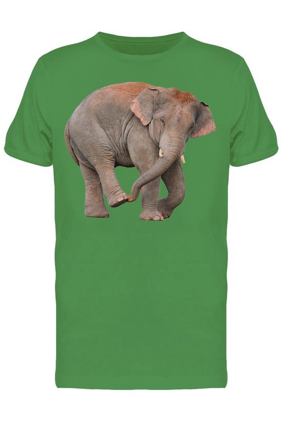 Super Cute Asian Elephant Tee Men's -Image by Shutterstock
