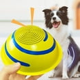 thumbnail image 1 of Super Durable Sliding Dog Toy with Soothing Sound for Interactive Play and Training, 1 of 3