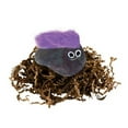 thumbnail image 1 of Super Impulse Toys Original Licensed Pet Rock, 1 of 5