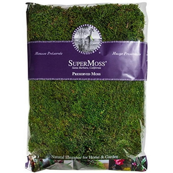 Super Moss 21513 Preserved Sheet Moss, Fresh Green, 16-Ounce