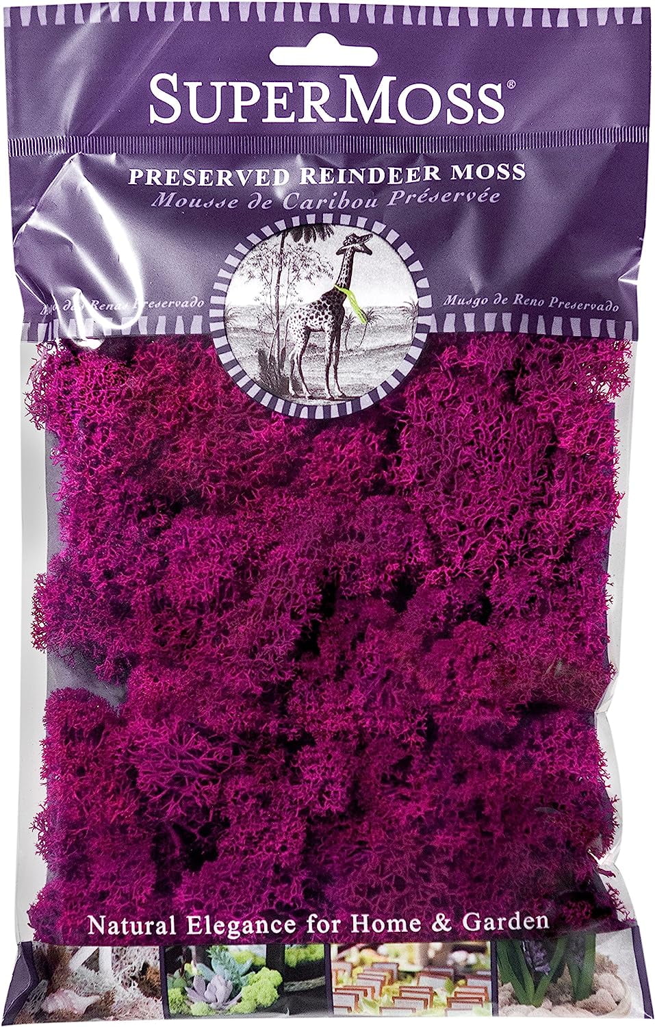 Super Moss 25124 Reindeer Moss Purple - Walmart.com