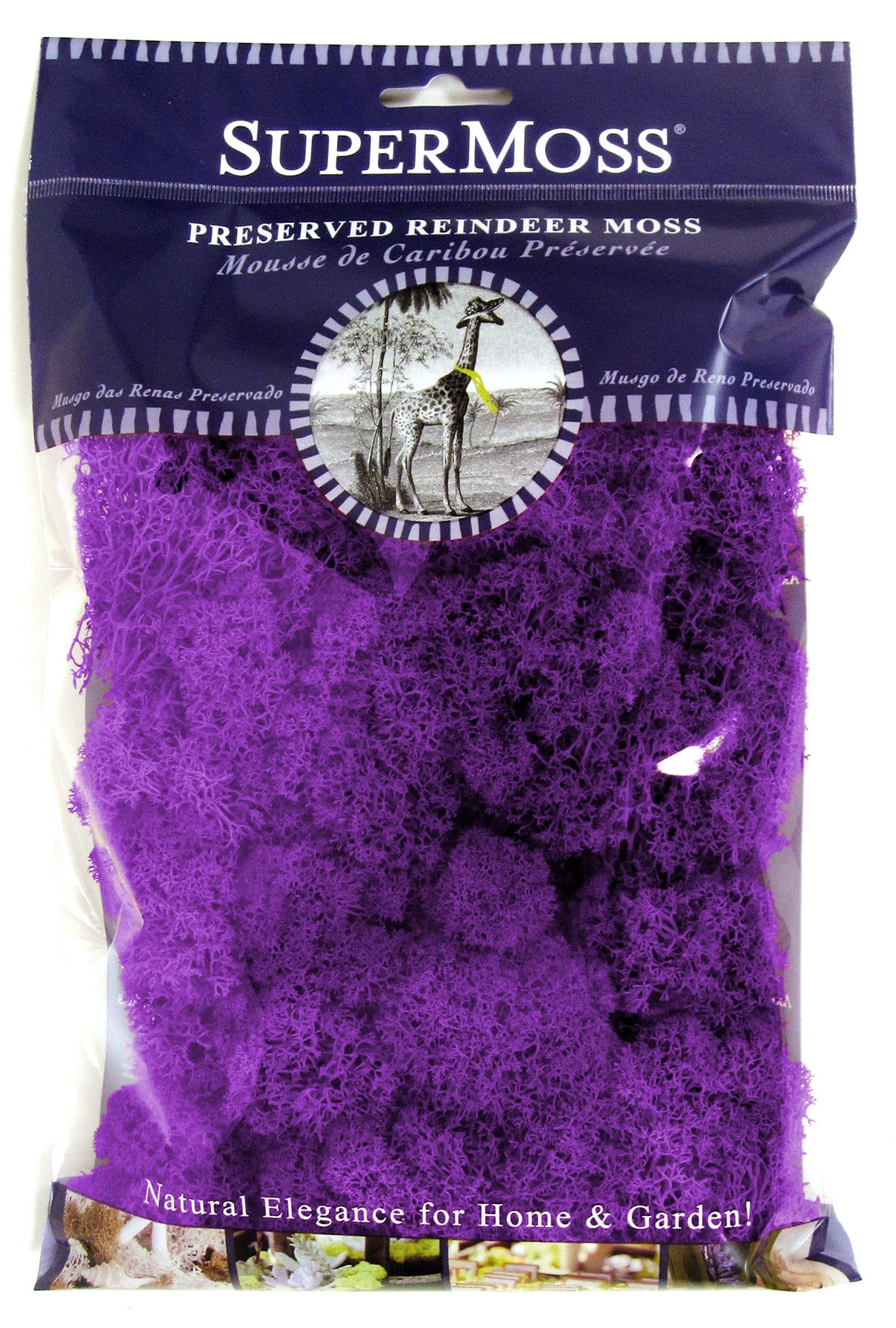 Super Moss 25124 Reindeer Moss Purple