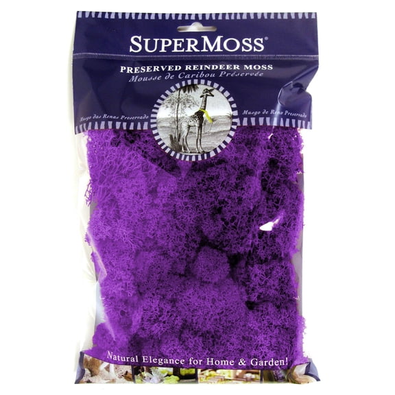 Super Moss 25124 Reindeer Moss Purple