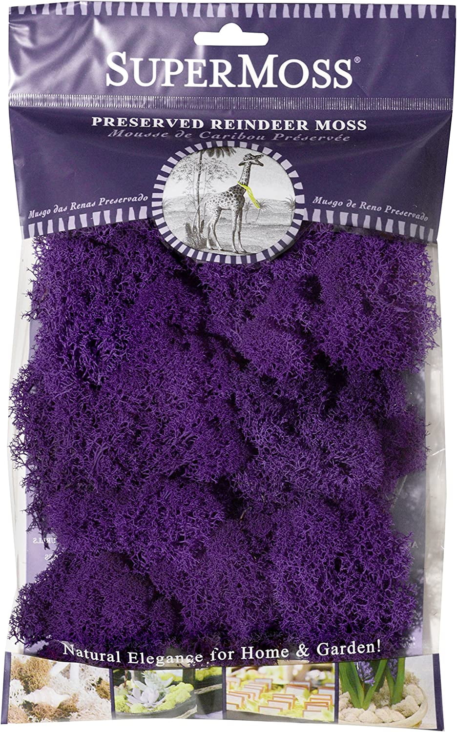 素晴らしい外見 Moss Reindeer 25124 Moss Super Purple Walmart.com - 邦楽