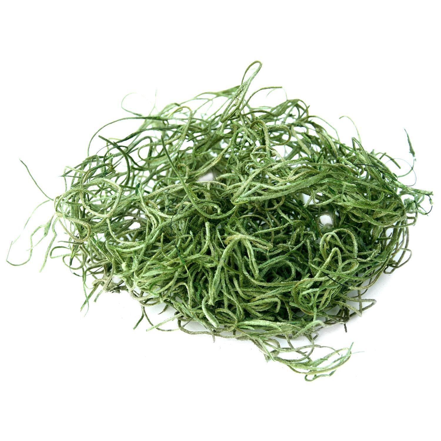 Super Mos Super Moss 26912 Spanish Moss Preserved, Grass, 8oz (200 cubic inch ...