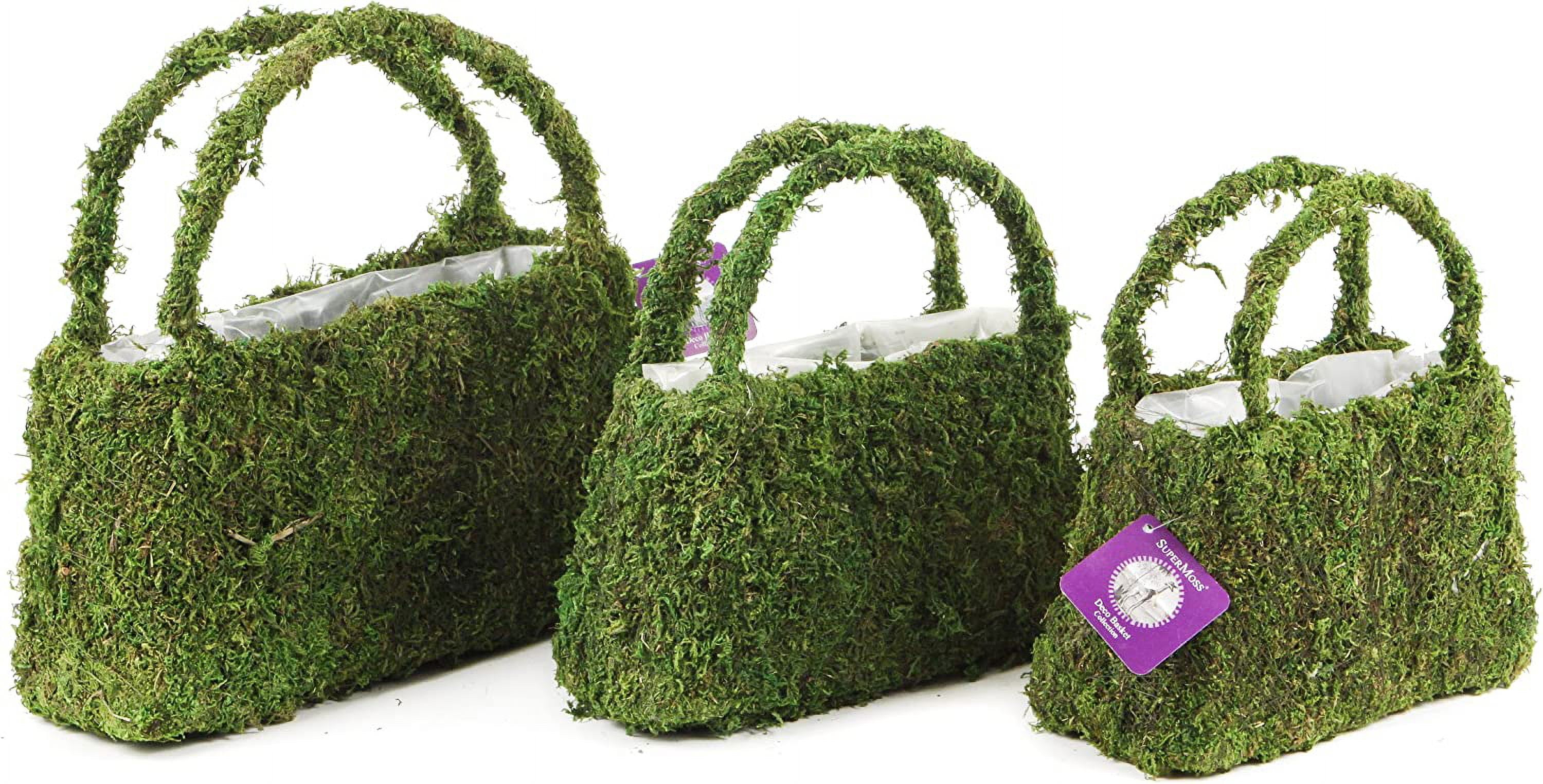 Super Moss 55500 3 Piece Moss Purse - Pack of 6