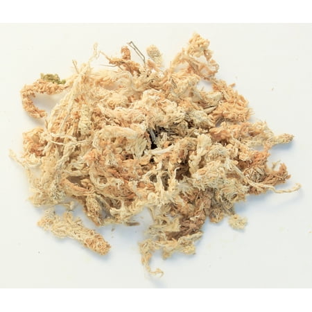 Super Moss 22325 1.9 Lb Orchid Sphagnum Moss