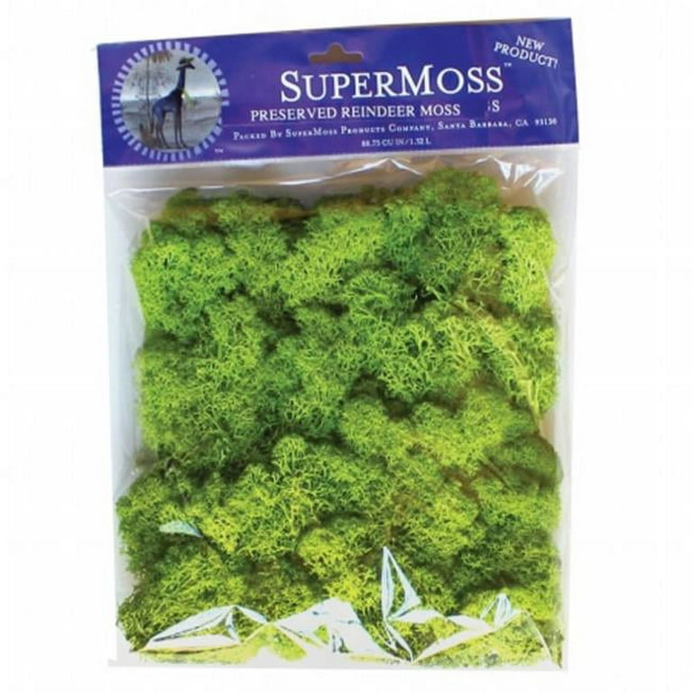 SuperMoss - Reindeer Moss