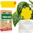 thumbnail image 1 of Super Ninja Gnat Traps for House Indoor - 30 Traps - Highly Effective and Ecological Gnat Traps - Fungus Gnat Killer Indoor - Fungus Gnat Sticky Trap for Fungus Gnat and Whitefly, 1 of 7