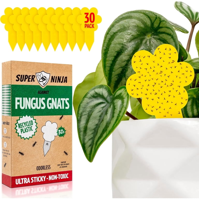 Super Ninja Fungus Gnat Traps 30 Pack, Highly Effective Gnat Traps for House Indoor, Yellow Sticky Trap for Plants, No