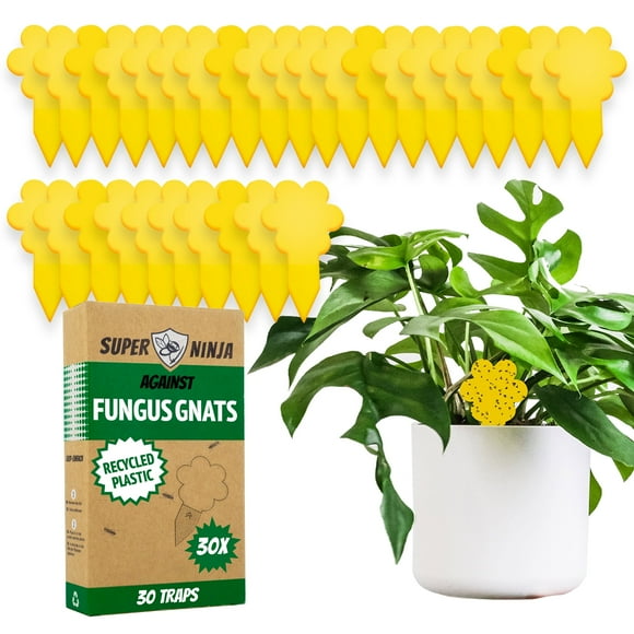 Super Ninja Gnat Traps for House Indoor - 30 Traps - Highly Effective and Ecological Gnat Traps - Fungus Gnat Killer Indoor - Fungus Gnat Sticky Trap for Fungus Gnat and Whitefly