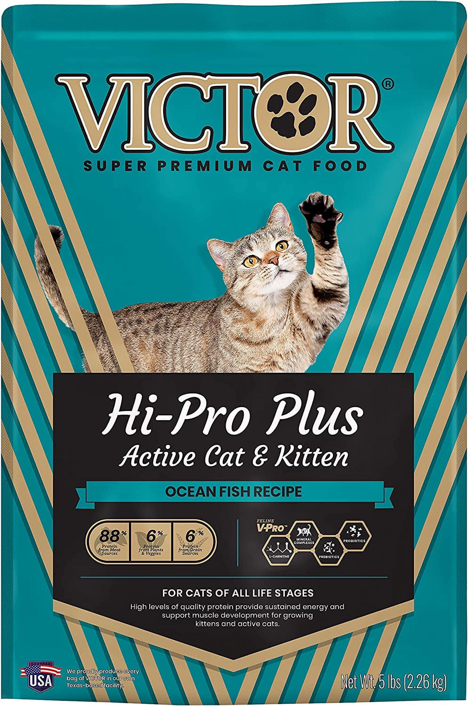 Super Premium Cat Food HiPro Plus Active Cat and Kitten Dry Cat