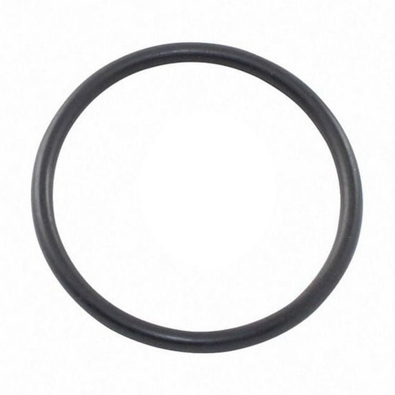 Aladdin O-125 O-Ring Drain Plug