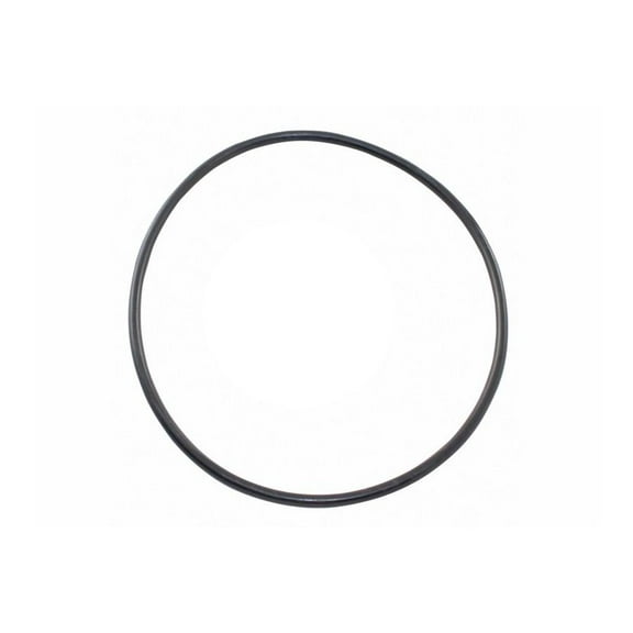 Super-Pro Jandy Energy Filter Bowl O-Ring