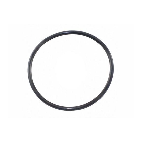 Super-Pro Ultra-Flow Diffuser/Union O-Ring