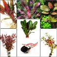 Super Red Set Package Live Aquarium Decorations Aquatic Plants for Fish