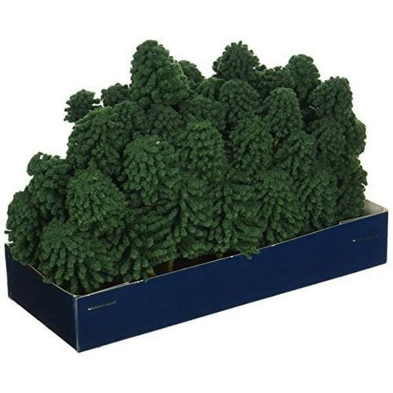 Super Scenic Tree, Evergreen 12 (55)
