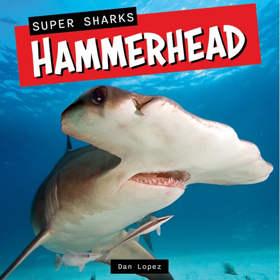Super Sharks Hammerhead, (Paperback)