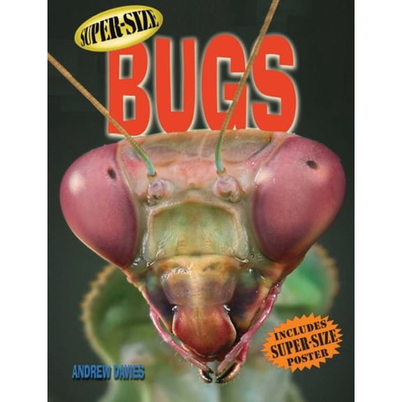 Pre-Owned Super-Size Bugs (Hardcover) 1402753403 9781402753404