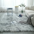 thumbnail image 1 of YEERSWAG Area Rugs for Living Room Shaggy Area Rug Indoor Anti-Skid Washable Fluffy Rug,Bedroom Dining Room Carpet Floor Mat,32" x 63", 1 of 6