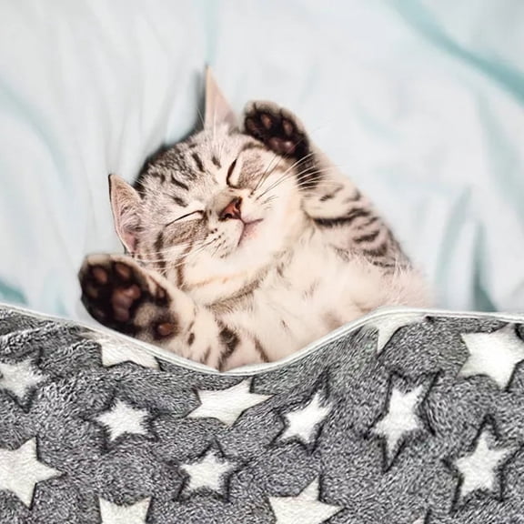 Puppy Blankets Warm Pet Mat Soft Flannel Throw for Small Dogs Cats Cozy Comfortable Cute Star Bone Design Dog Bed Accessories