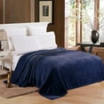 thumbnail image 1 of Super Soft Thick Ultra Plush Premium Luxury Warm Cozy Microfiber Fleece Flannel Throw Picnic Sofa Couch Bed Blanket, 1 of 4