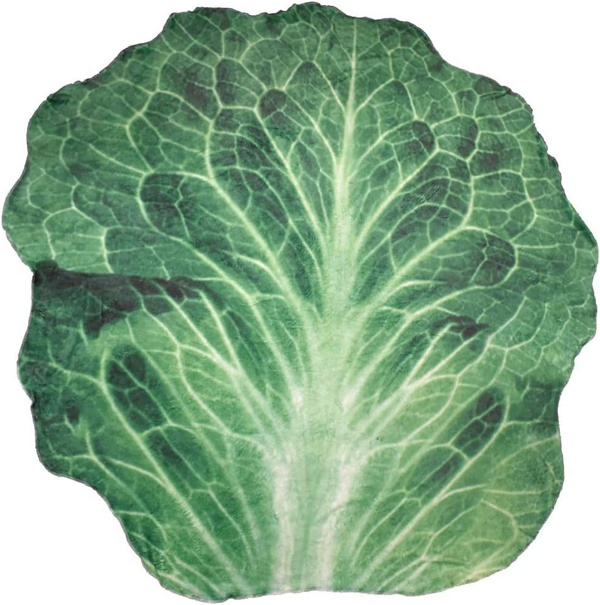 Super Soft Throw Blanket 59" Fleece Food Wrap (Lettuce)