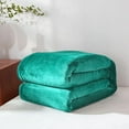 thumbnail image 1 of Super Soft Warm Flannel Fleece Plush Microfiber Bed Throw Blanket Queen - Light Turquoise, 1 of 5