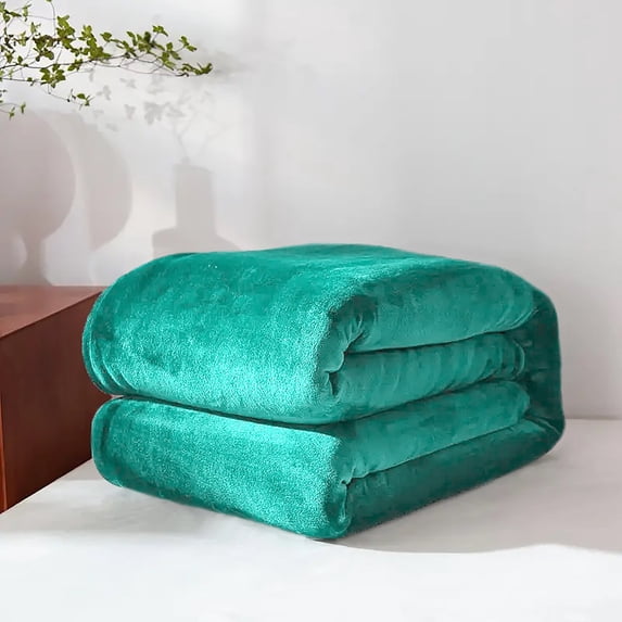 Super Soft Warm Flannel Fleece Plush Microfiber Bed Throw Blanket Queen - Light Turquoise