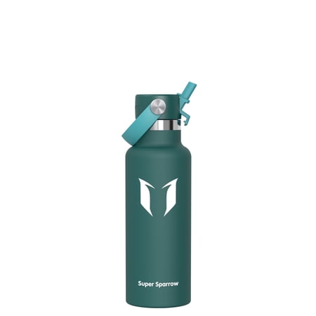 Super Sparrow Insulated Water Bottle 17oz with Straw Flip Lid