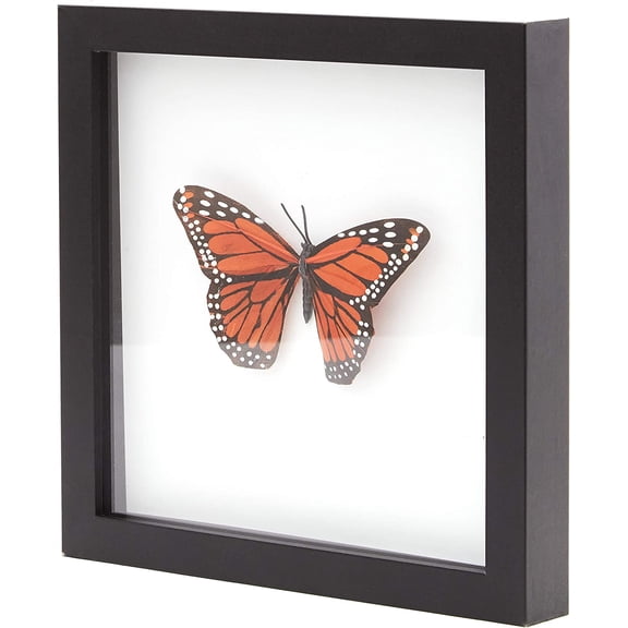 Super-Sturdy 8x8 Shadow Box Frame 1pk MDF Display with Real Glass. Best Shadowbox to Showcase Photos, Tickets, Wedding Bouquets, CDs, Medals, Awards, and Insects (1, Display Black)