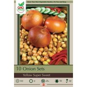Super Sweet Yellow Onion Set - 10 Bulbs - Top Size
