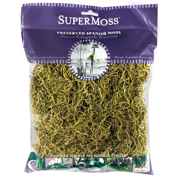 SuperMoss (26959) Spanish Moss Preserved, Basil, 4oz