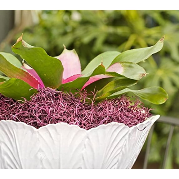 SuperMoss (26971) Spanish Moss Preserved, Dusty Rose, 8oz