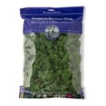 thumbnail image 1 of SuperMoss 8oz. Basil Preserved Reindeer Moss, 1 of 2