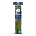 thumbnail image 1 of SuperMoss InstantGreen Moss Mat - 4 x 1.5 feet, 1 of 10