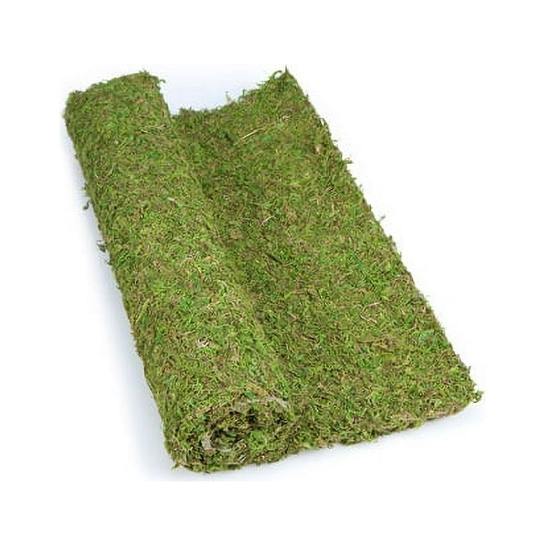 SuperMoss® Dried Sheet Moss