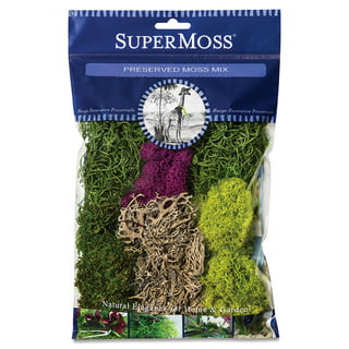 SuperMoss (23310) Moss Mix - Best Sellers, 80.75 Cubic Inch Bag (Appx. –  Fleurings