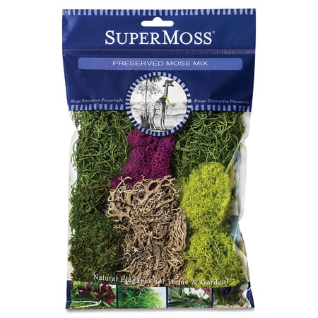 SuperMoss Preserved Moss Mix, Mixed Colors, Approx. 2oz - Mix Includes Spanish Moss, Reindeer Moss, Sheet Moss and Lichen Parmelia