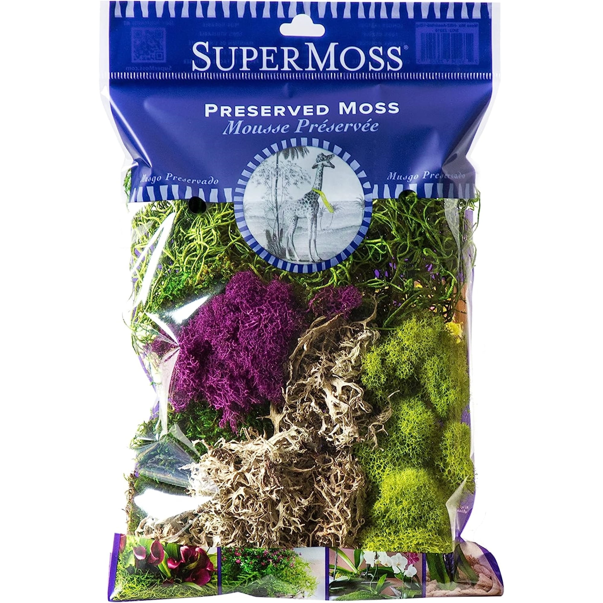 SuperMoss Preserved Mixed Color Moss Arrangement, 2 Ounces