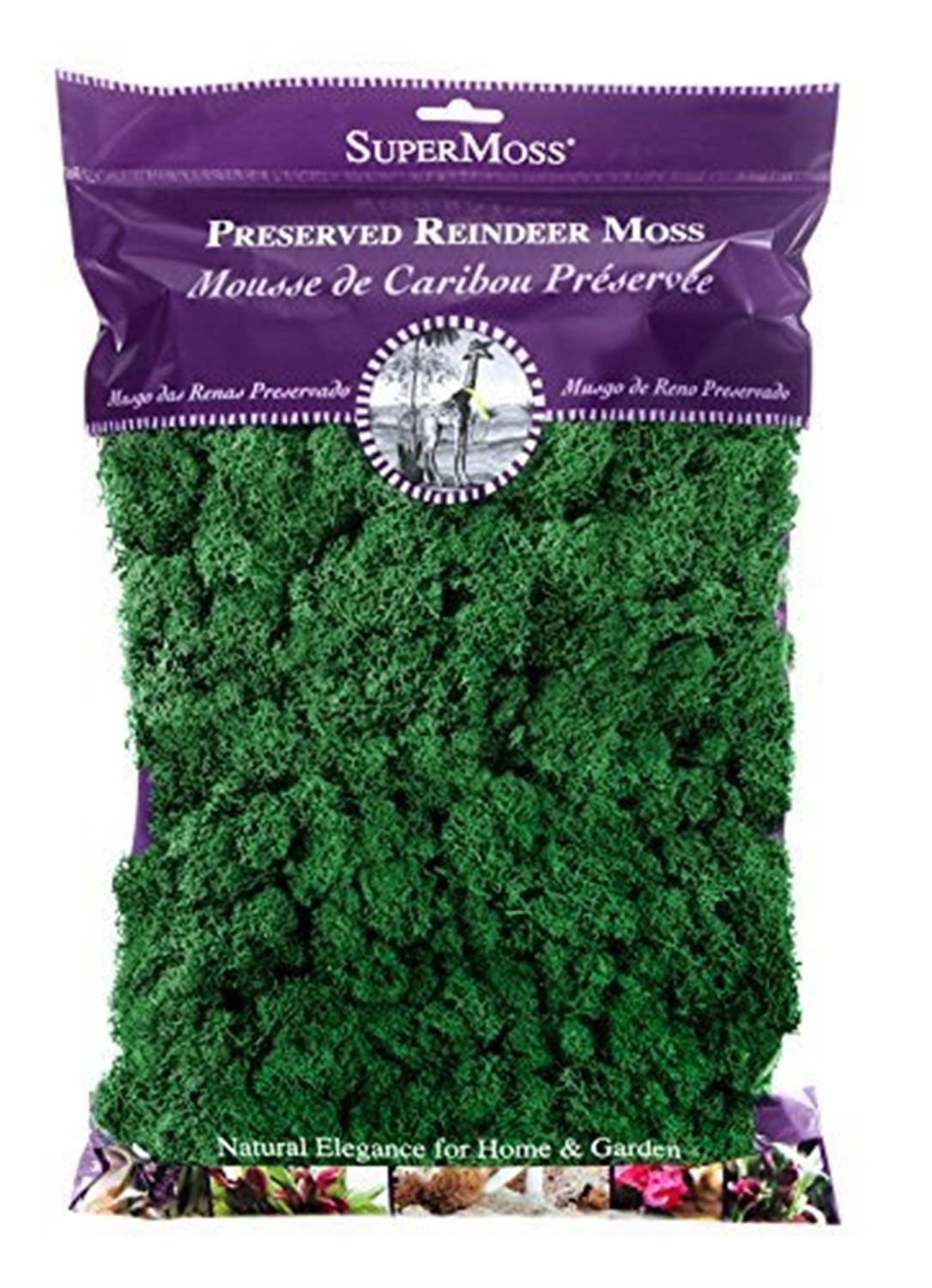 SuperMoss Preserved Reindeer Moss - 8oz.