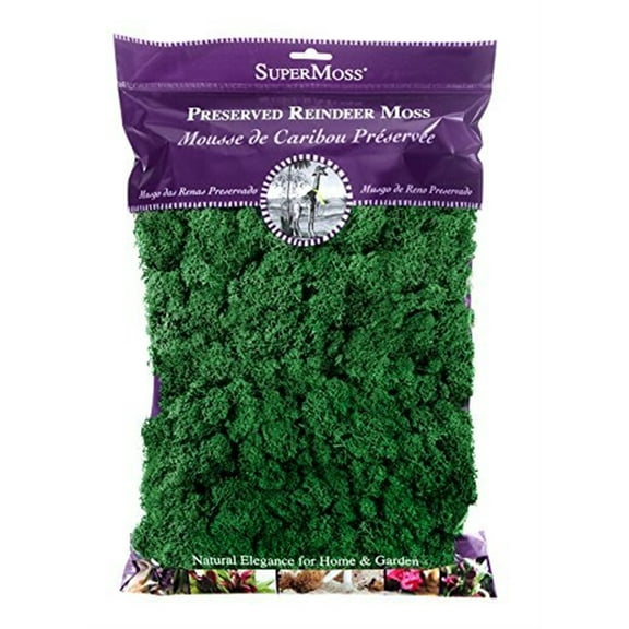 SuperMoss Preserved Reindeer Moss - 8oz.